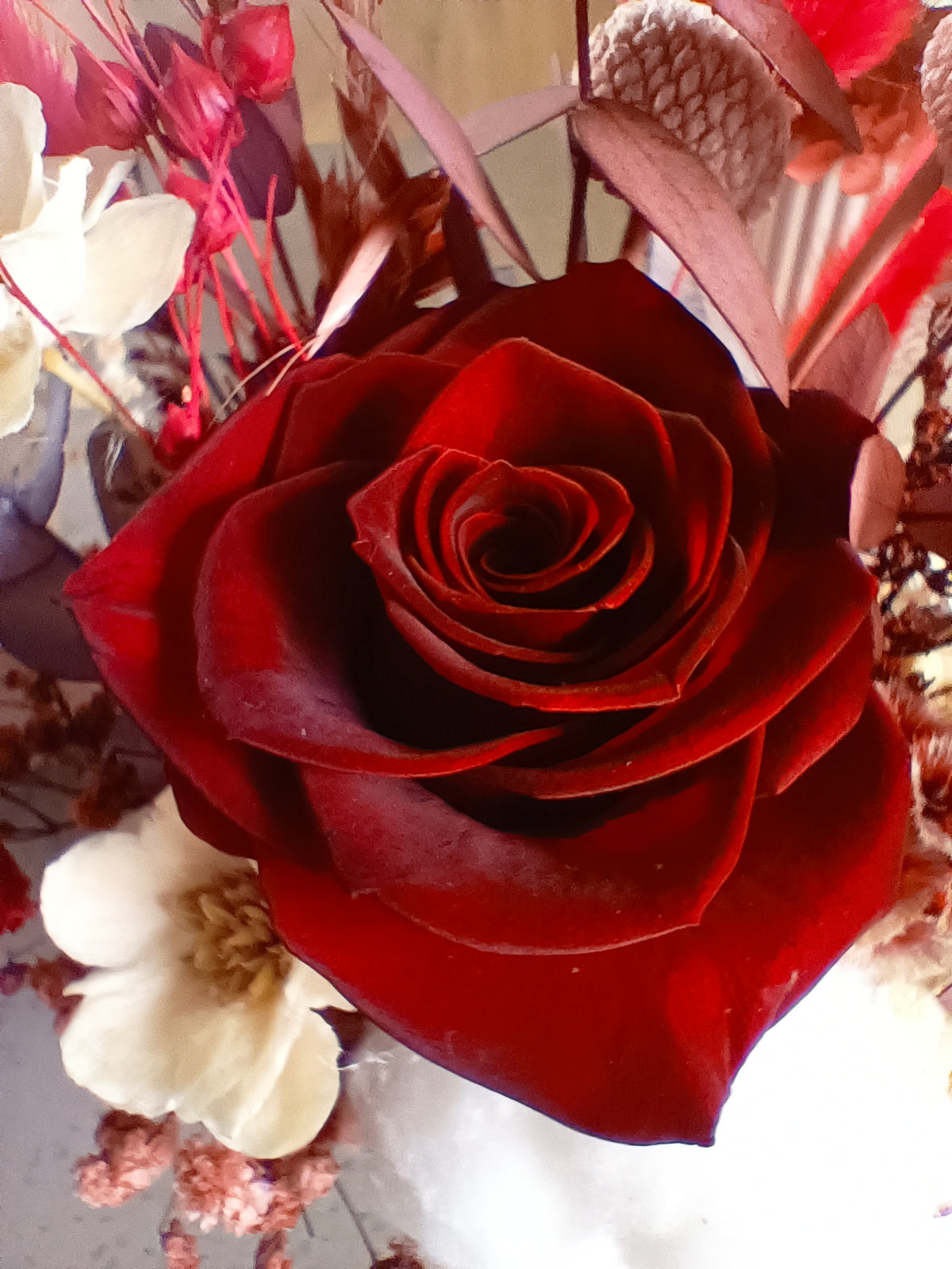 Overhead view of preserved floral arrangement in a white ceramic vase. Floral mix includes a deep red rose, cream sola flowers, cotton, bunny tails, and preserved leaves in warm red and burgundy tones. A compact, romantic floral piece for gifts, bedside tables, or modern interiors.