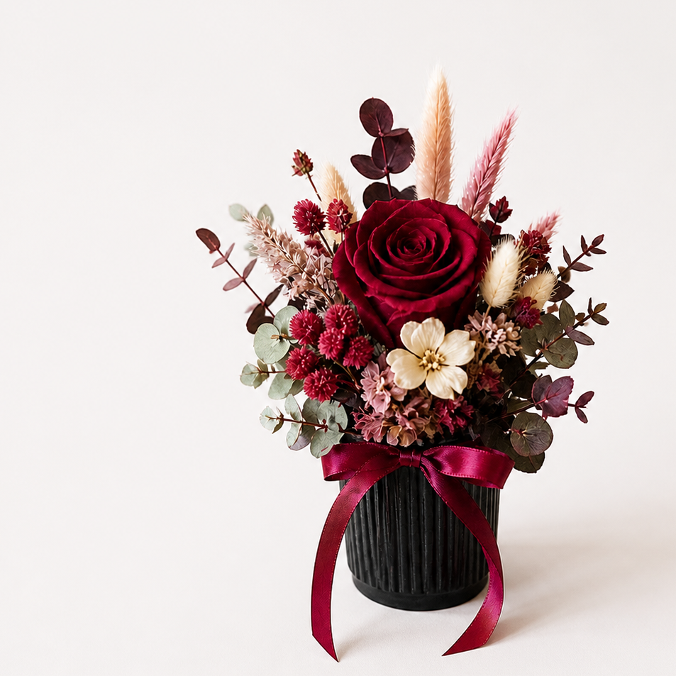 burgundy preserved rose mini pot on white background minimal dried flower arrangement